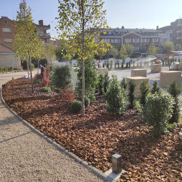 376699261_2438210379683497_2226012199554414323_n